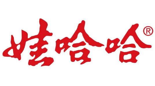 娃哈哈大学生营销策划大赛