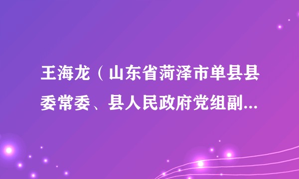 王海龙（山东省菏泽市单县县委常委、县人民政府党组副书记、副县长）