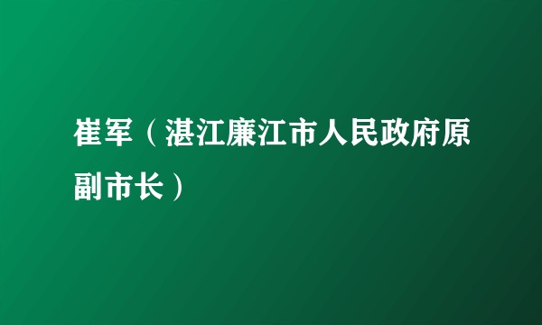 崔军（湛江廉江市人民政府原副市长）