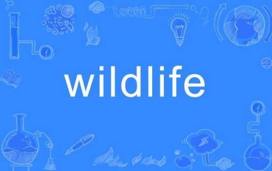 wildlife（英语单词）