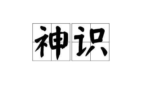 神识（佛教术语）