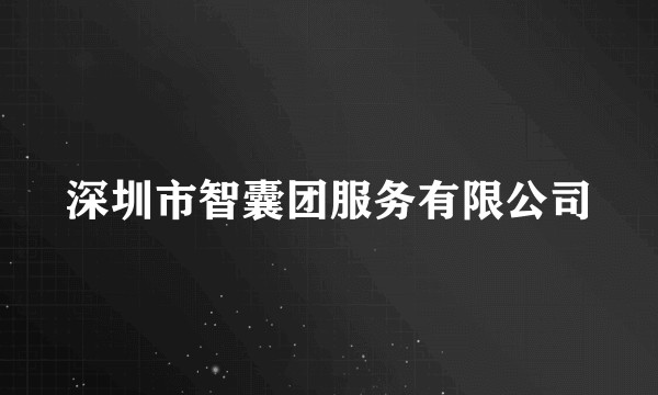 深圳市智囊团服务有限公司