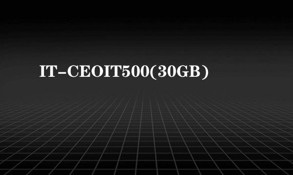 IT-CEOIT500(30GB)