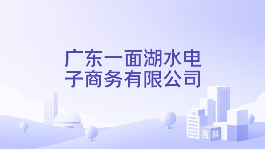 广东一面湖水电子商务有限公司