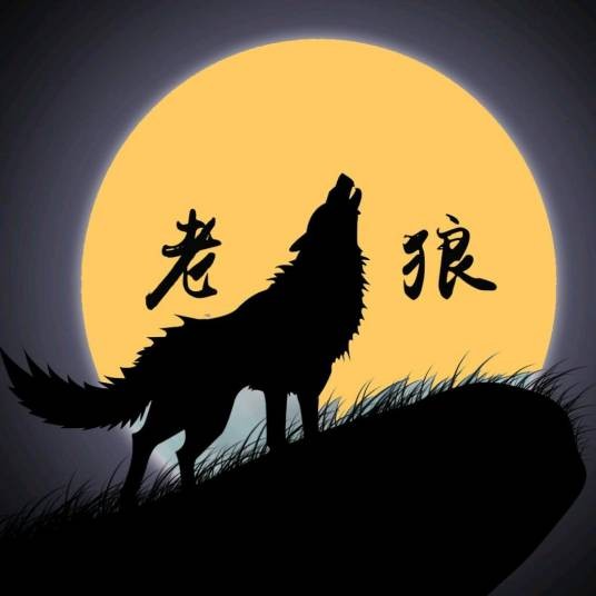 老狼影视