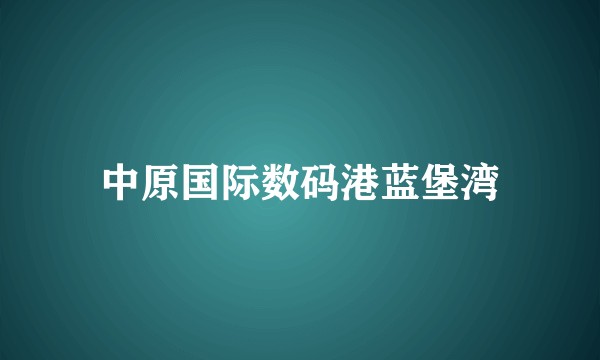 中原国际数码港蓝堡湾