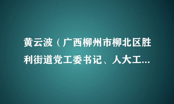 黄云波（广西柳州市柳北区胜利街道党工委书记、人大工委主任）