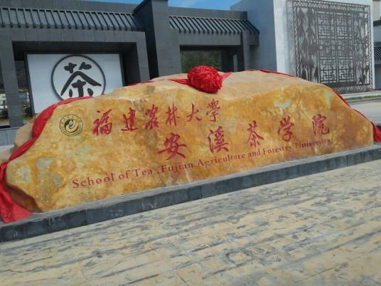 福建农林大学安溪茶学院