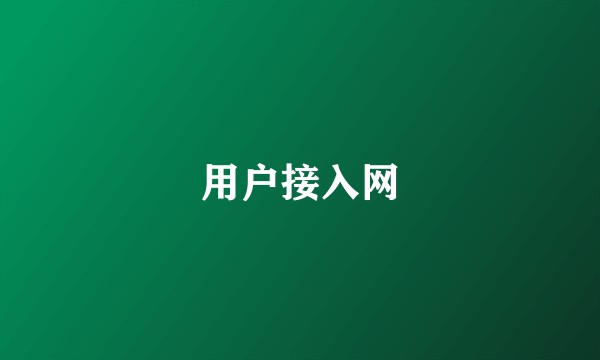 用户接入网