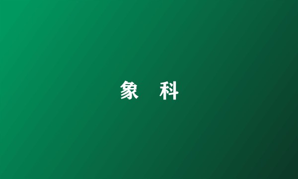 象鼩科