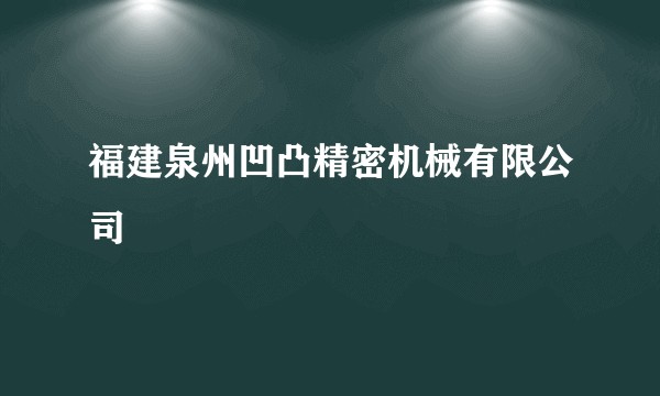 福建泉州凹凸精密机械有限公司