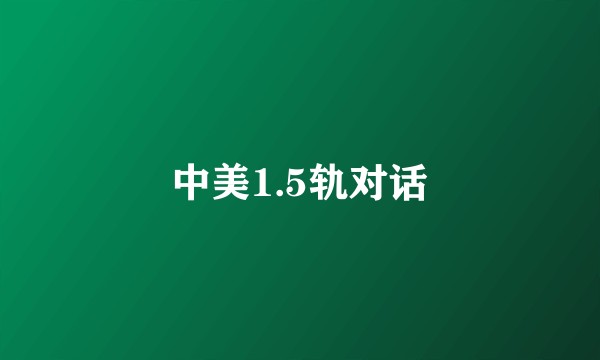 中美1.5轨对话