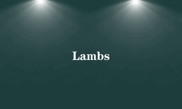 Lambs