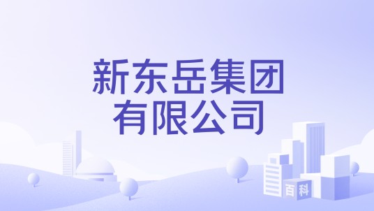 新东岳集团有限公司
