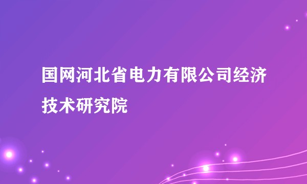 国网河北省电力有限公司经济技术研究院