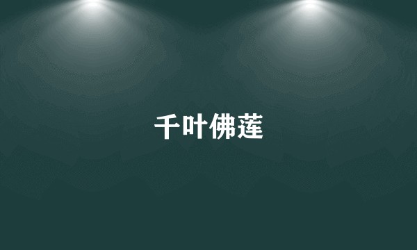 千叶佛莲
