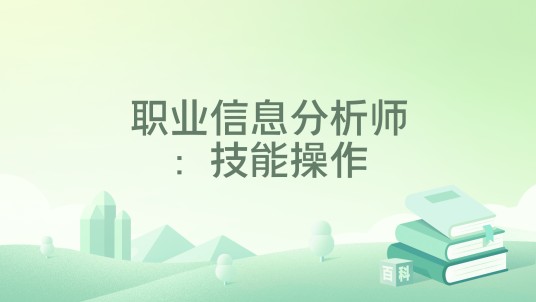 职业信息分析师：技能操作