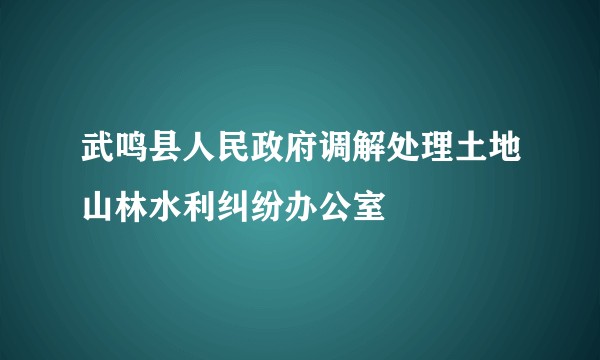 武鸣县人民政府调解处理土地山林水利纠纷办公室
