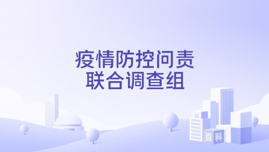 疫情防控问责联合调查组