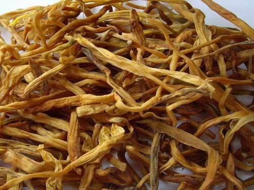 庆阳黄花菜