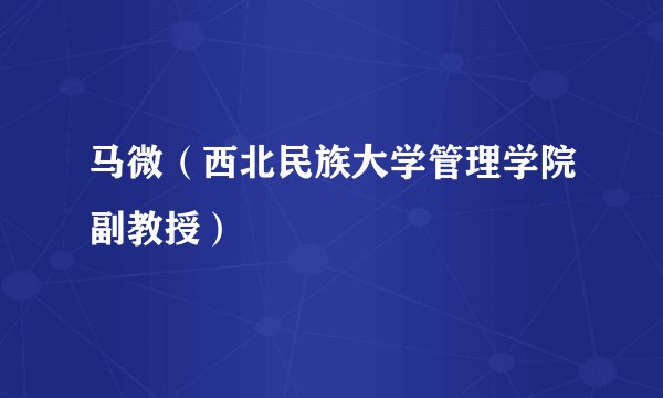 马微（西北民族大学管理学院副教授）