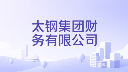 太钢集团财务有限公司