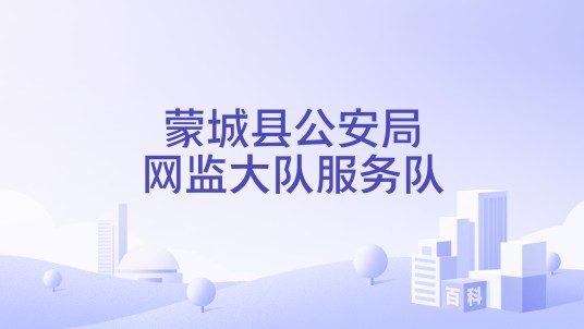 蒙城县公安局网监大队服务队