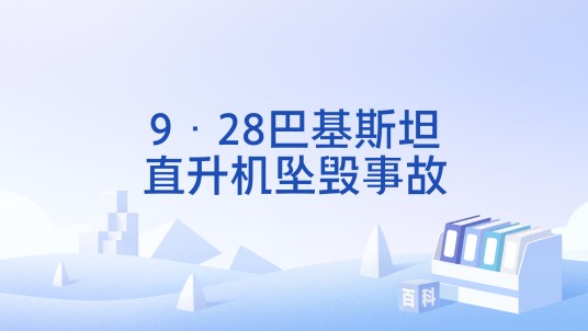 9·28巴基斯坦直升机坠毁事故