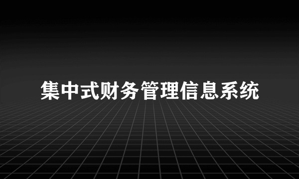 集中式财务管理信息系统