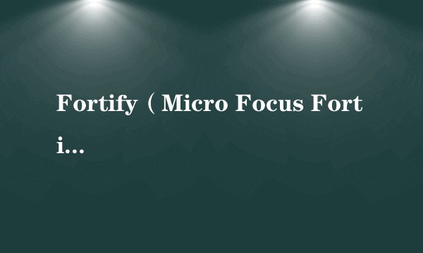Fortify（Micro Focus Fortify应用安全测试软件）