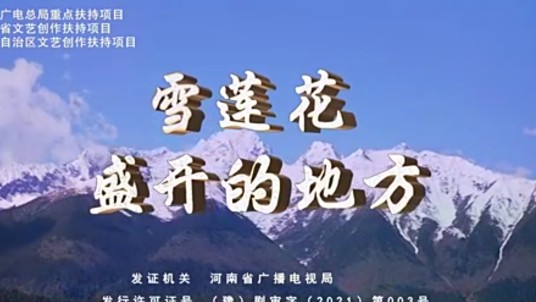 雪莲花盛开的地方