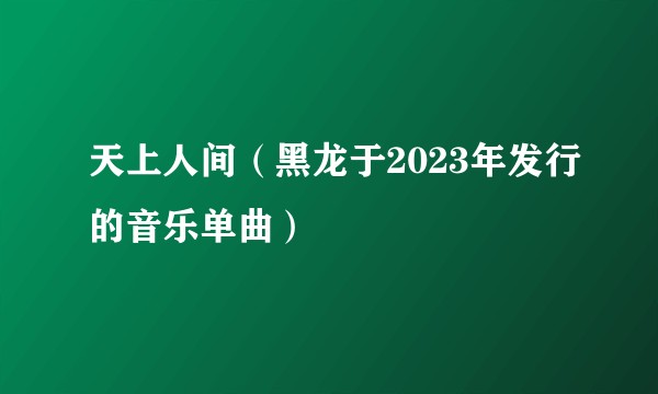 天上人间（黑龙于2023年发行的音乐单曲）