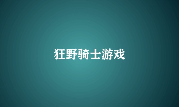 狂野骑士游戏