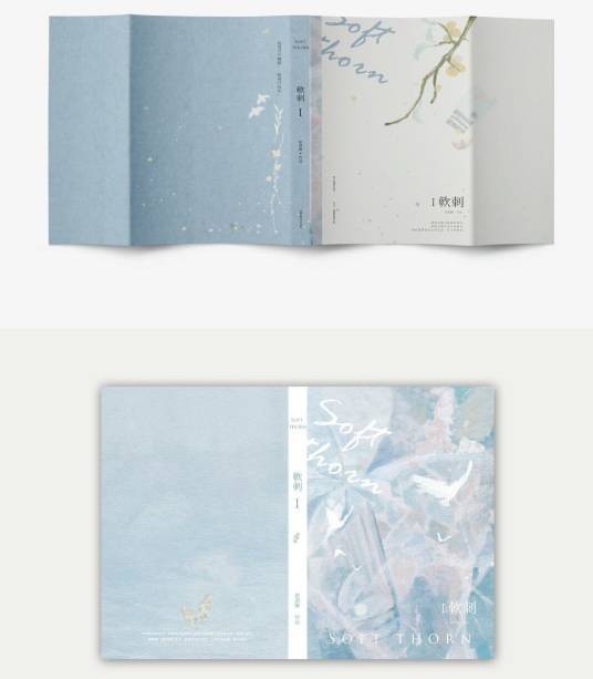 软刺(唐酒卿创作的耽美小说)