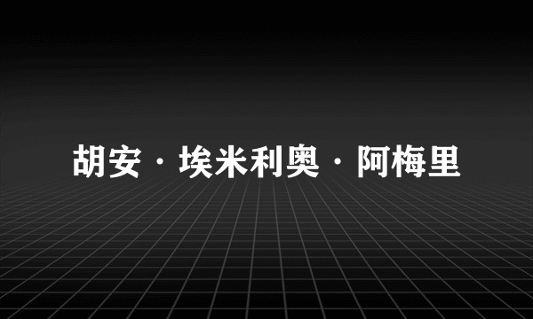 胡安·埃米利奥·阿梅里
