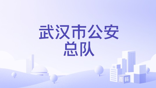 武汉市公安总队