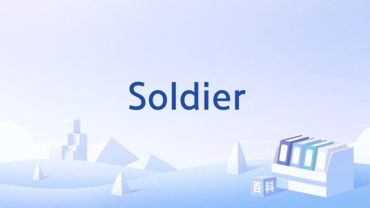 Soldier（2004年Destiny Fulfilled专辑中的歌曲）