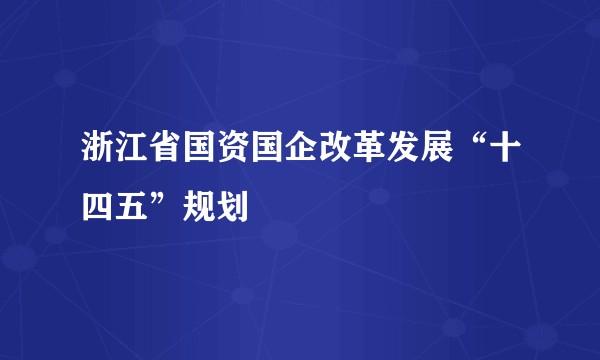 浙江省国资国企改革发展“十四五”规划