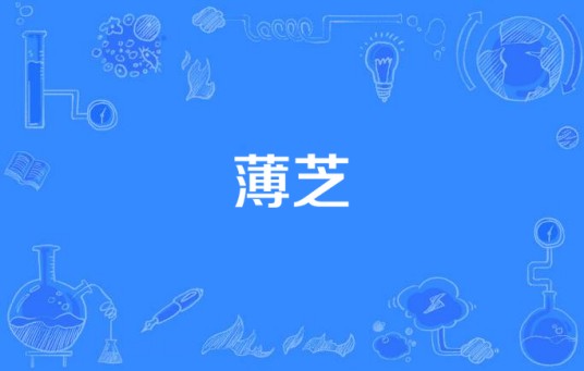 薄芝