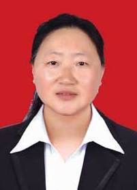 杨劲松(宿州市人大常委会财政经济工作委员会主任、代表资格审查委员会委员)