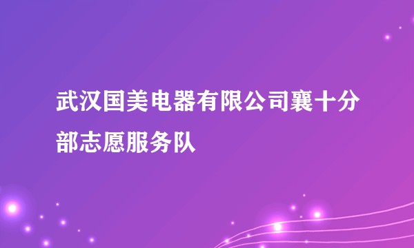 武汉国美电器有限公司襄十分部志愿服务队