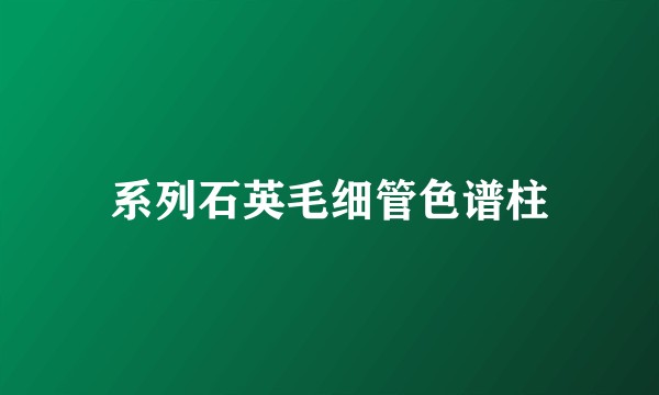 系列石英毛细管色谱柱
