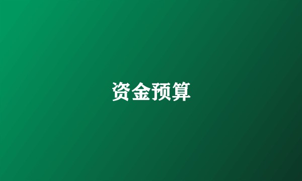 资金预算