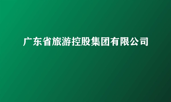 广东省旅游控股集团有限公司