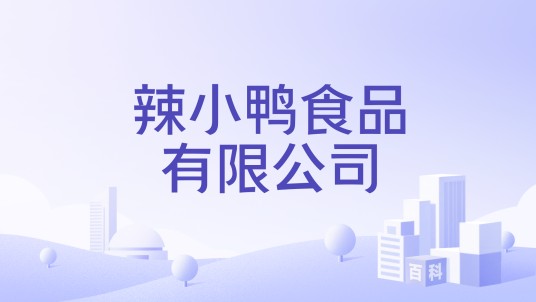 辣小鸭食品有限公司