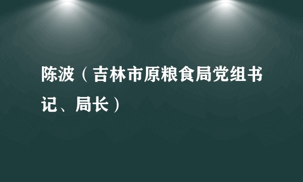 陈波（吉林市原粮食局党组书记、局长）