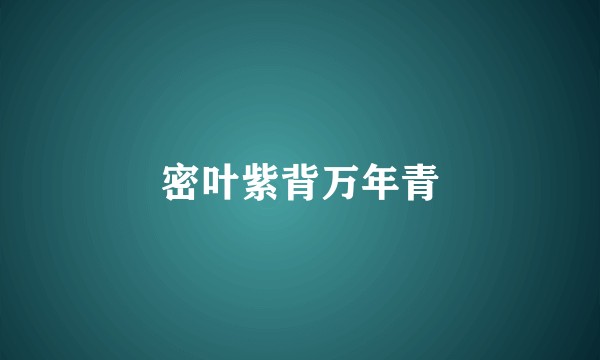密叶紫背万年青