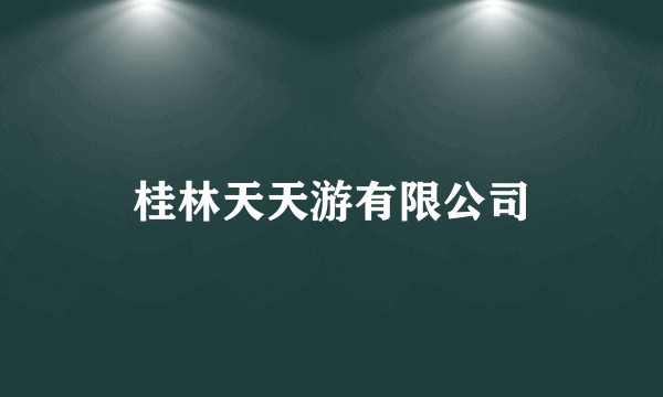 桂林天天游有限公司