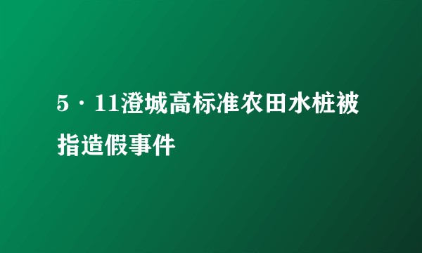 5·11澄城高标准农田水桩被指造假事件