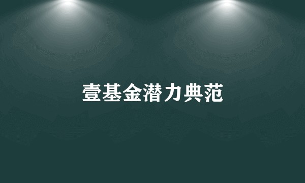 壹基金潜力典范
